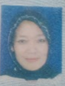 AI TINI HARYATI